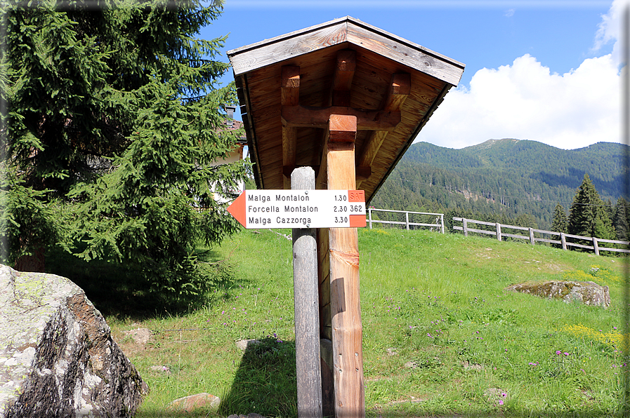 foto Da Forcella Montalon a Val Campelle